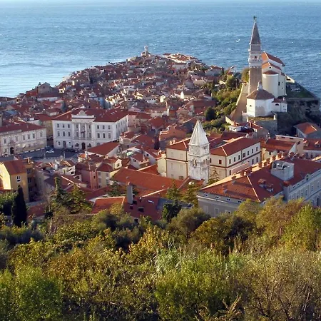 Istrski Podezelski Apartmaji S Pogledom Na Morje Rota - Sea View Istrian Countryside Rota *